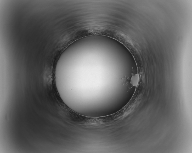 X0000095961012200801251146