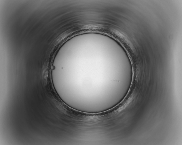 X0000095961017200801251146