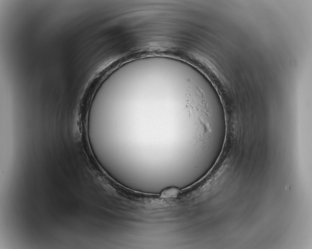 X0000095961018200801251146