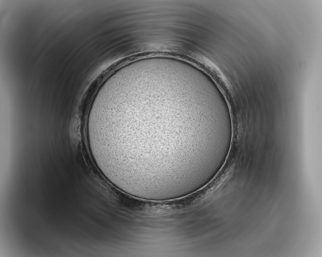 X0000095961019200801251146