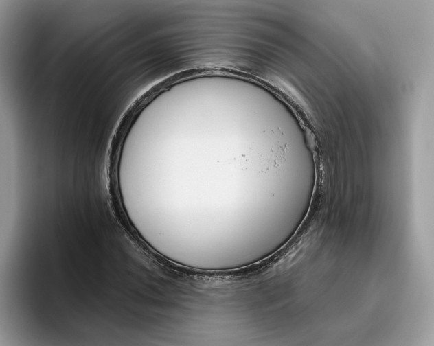 X0000095961020200801251146