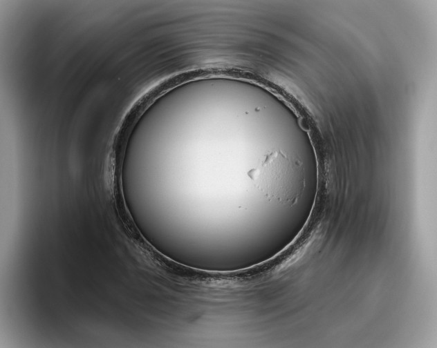 X0000095961021200801251146