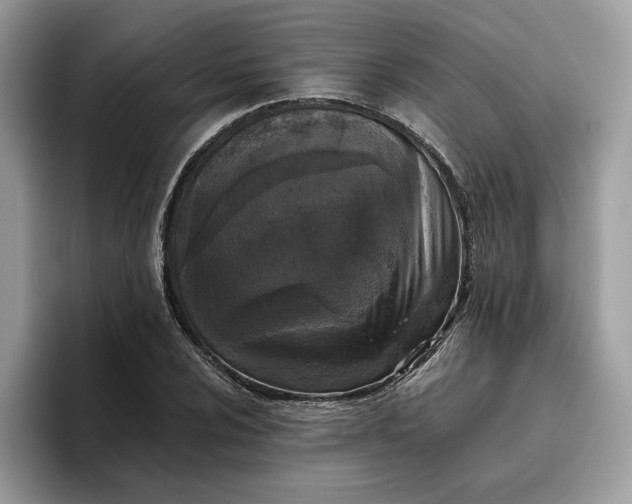 X0000095961024200801251146