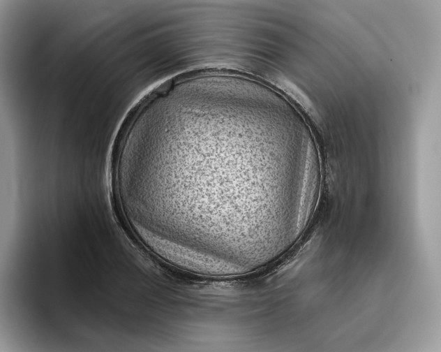 X0000095961028200801251146