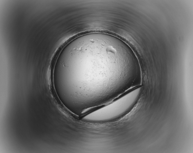 X0000095961030200801251146