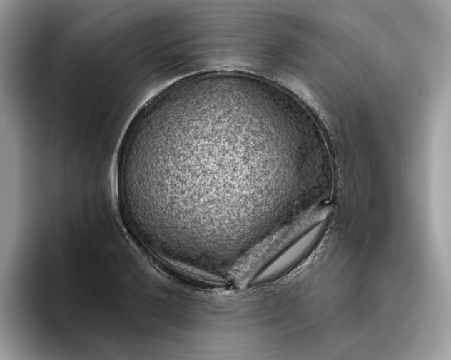 X0000095961032200801251146