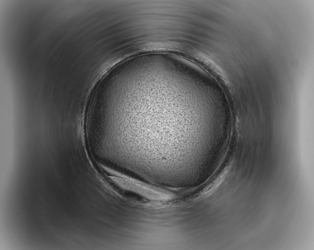 X0000095961033200801251146