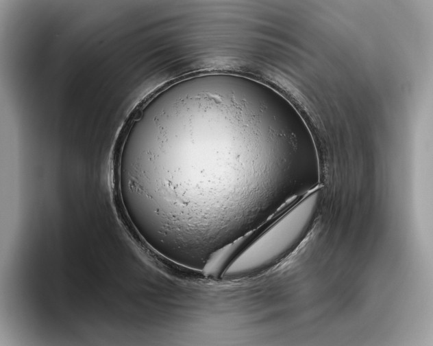 X0000095961034200801251146