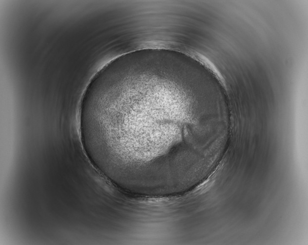 X0000095961035200801251146