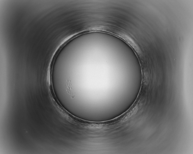 X0000095961036200801251146