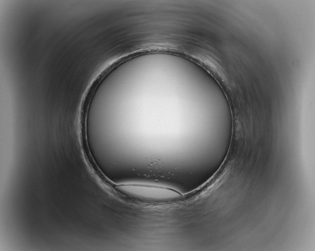 X0000095961038200801251146