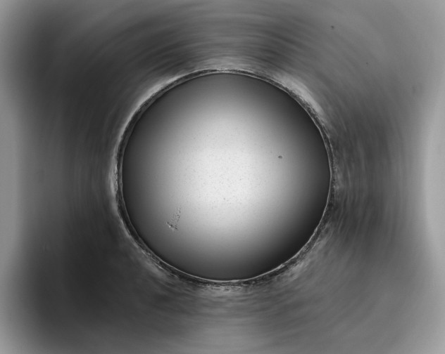 X0000095961040200801251146