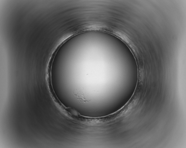 X0000095961042200801251146