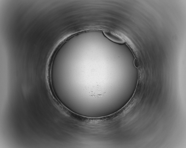 X0000095961043200801251146