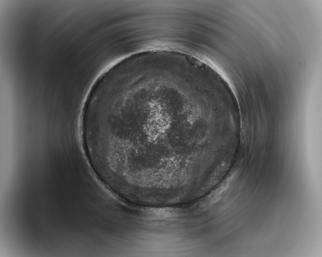 X0000095961045200801251146