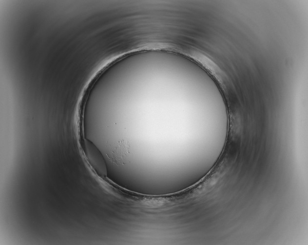 X0000095961046200801251146