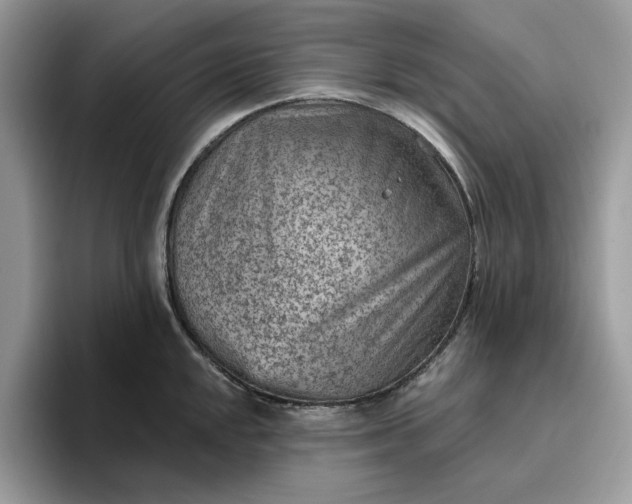 X0000095961048200801251146