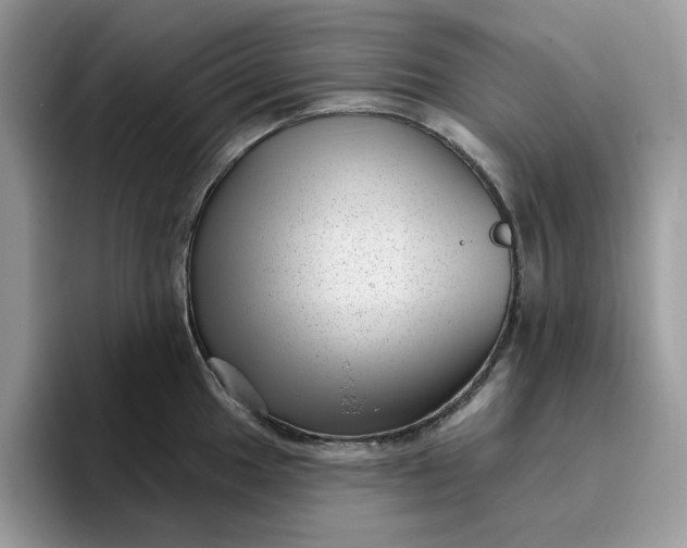 X0000095961049200801251146