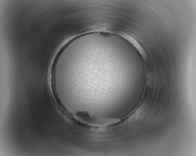 X0000095961051200801251146