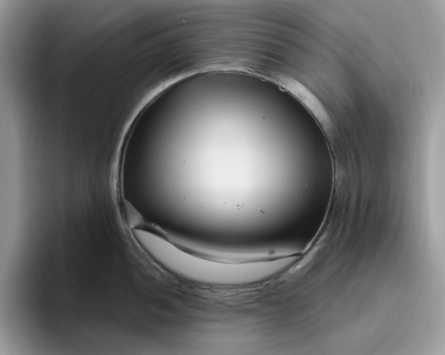 X0000095961052200801251146