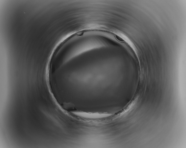 X0000095961053200801251146