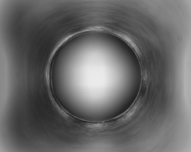 X0000095961054200801251146