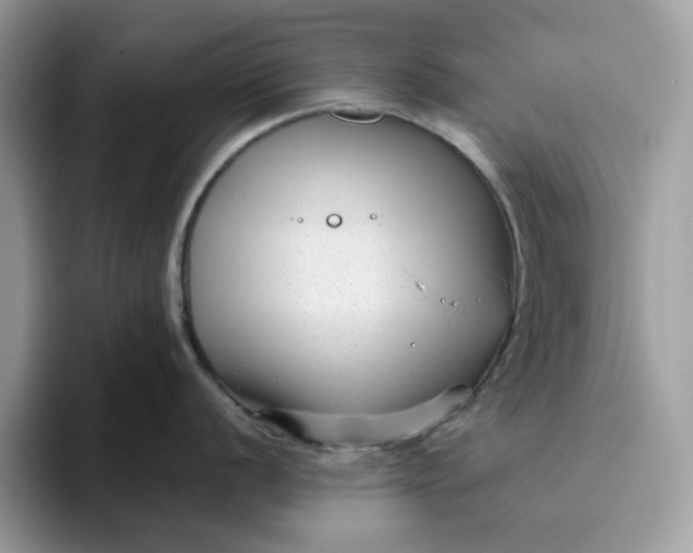 X0000095961056200801251146