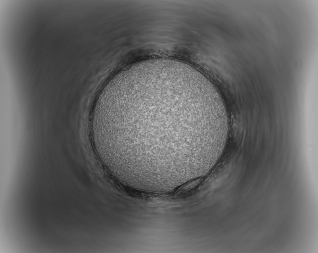 X0000095961057200801251145