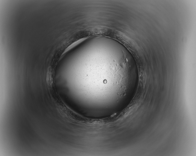 X0000095961058200801251145