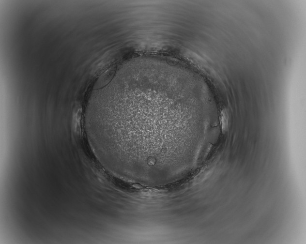 X0000095961059200801251145