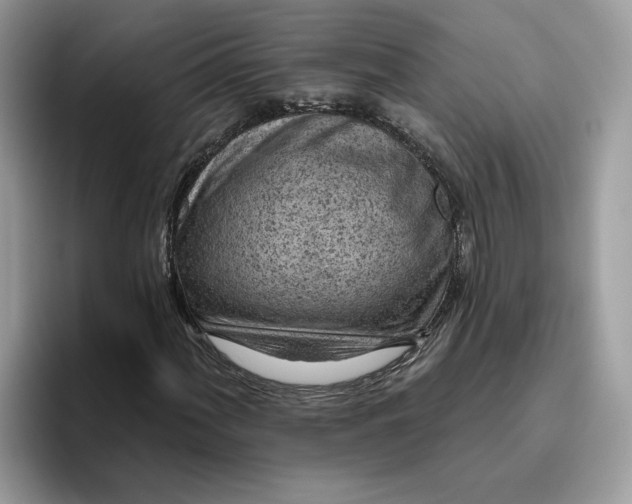 X0000095961060200801251145