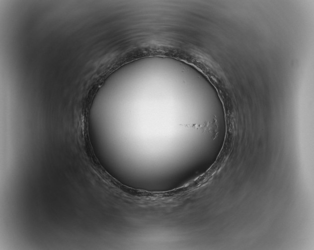 X0000095961061200801251145