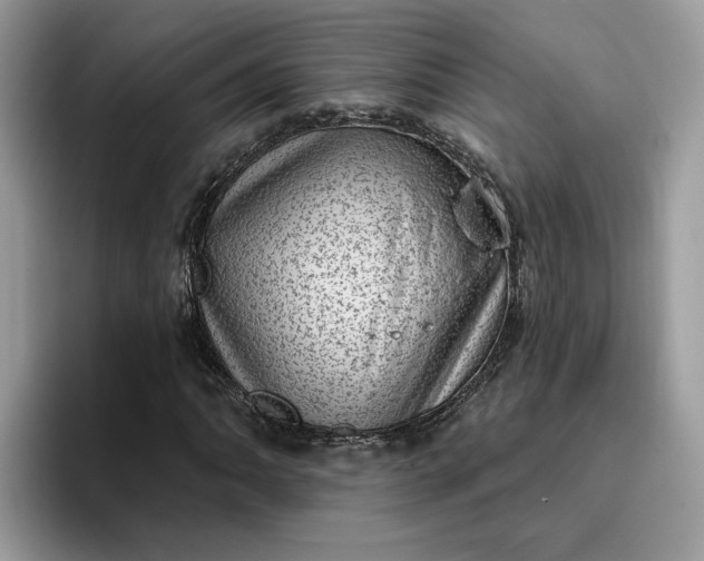 X0000095961062200801251145