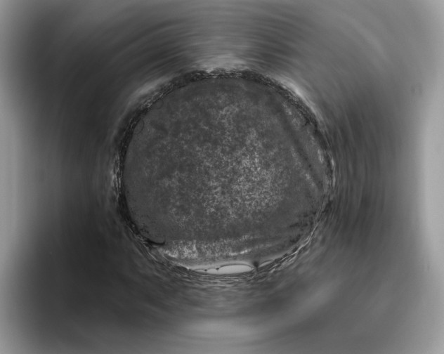 X0000095961063200801251145