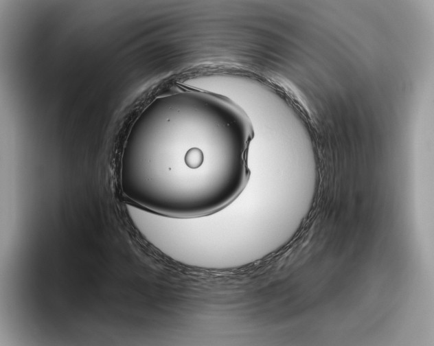 X0000095961064200801251145