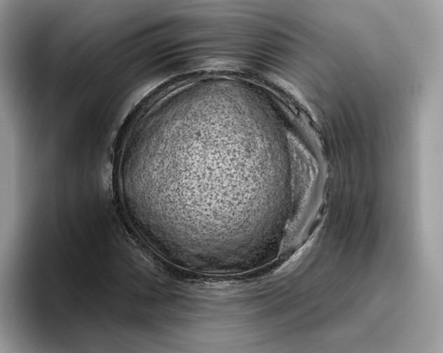 X0000095961066200801251145