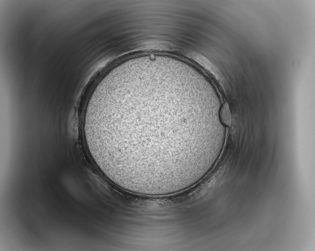 X0000095961067200801251145