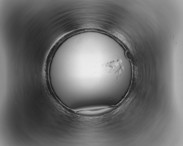 X0000095961068200801251145