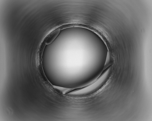 X0000095961069200801251145