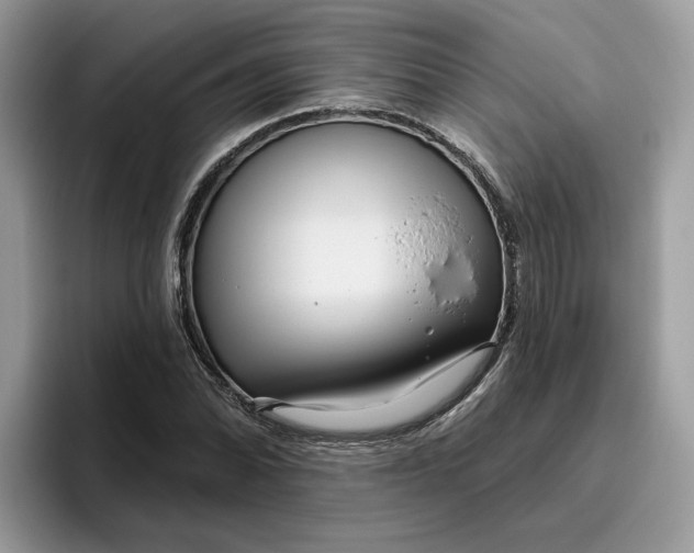 X0000095961070200801251145