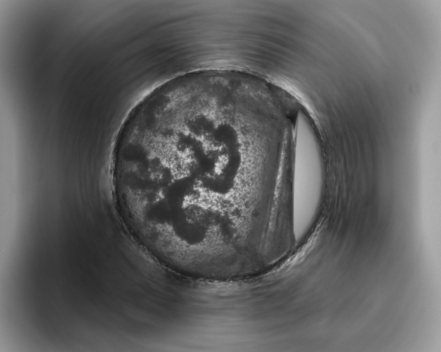 X0000095961071200801251145