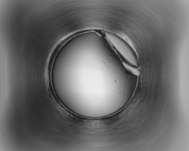 X0000095961072200801251145