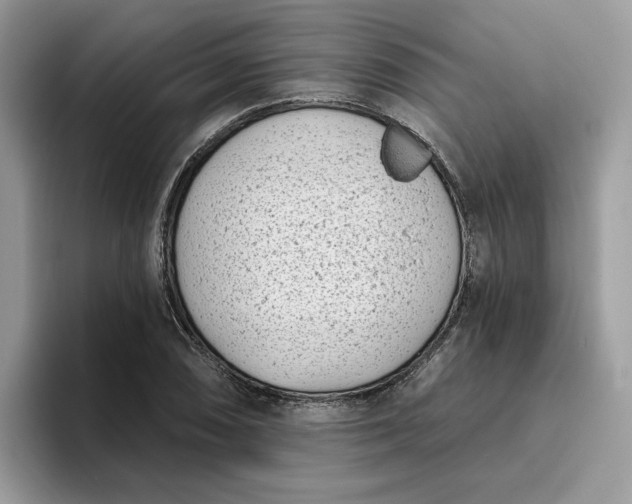 X0000095961074200801251145