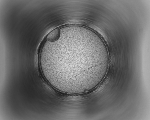 X0000095961075200801251145