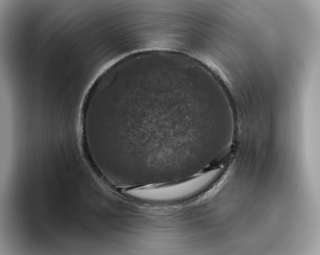 X0000095961077200801251145