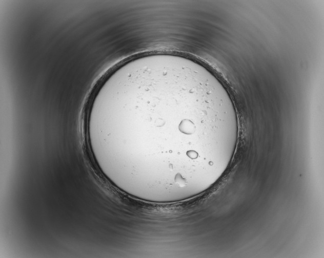 X0000095961078200801251145