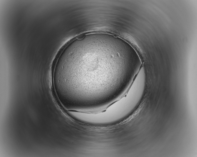 X0000095961079200801251145