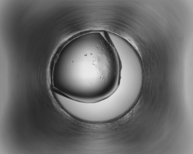 X0000095961080200801251145