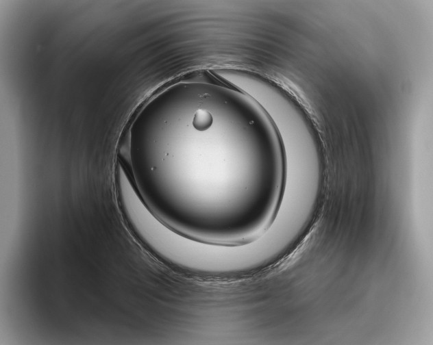 X0000095961081200801251145