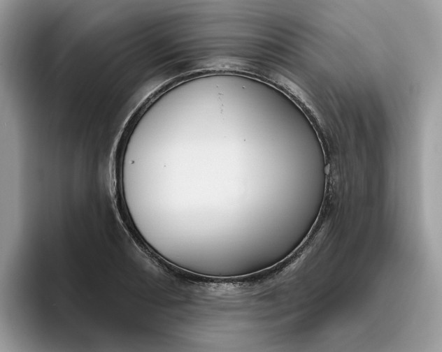 X0000095961082200801251145